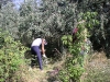 20080815_utilapu_tabor049