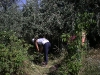 20080815_utilapu_tabor050