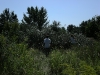 20080815_utilapu_tabor052