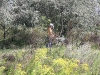 20080815_utilapu_tabor080