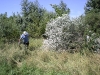 20080815_utilapu_tabor089