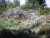 20080815_utilapu_tabor097