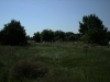 20080815_utilapu_tabor100