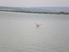 20080815_utilapu_tabor125
