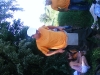 20090716_utilapu_tabor018