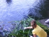 20090716_utilapu_tabor057