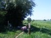 20090716_utilapu_tabor074