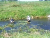 20090716_utilapu_tabor096