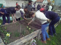 OLYMPUS DIGITAL CAMERA