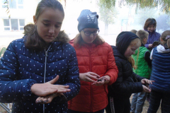 tljTvrs2022_10_262