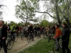 p4220062-1000x800